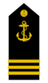 Guardiamarina de Tercer Año.png